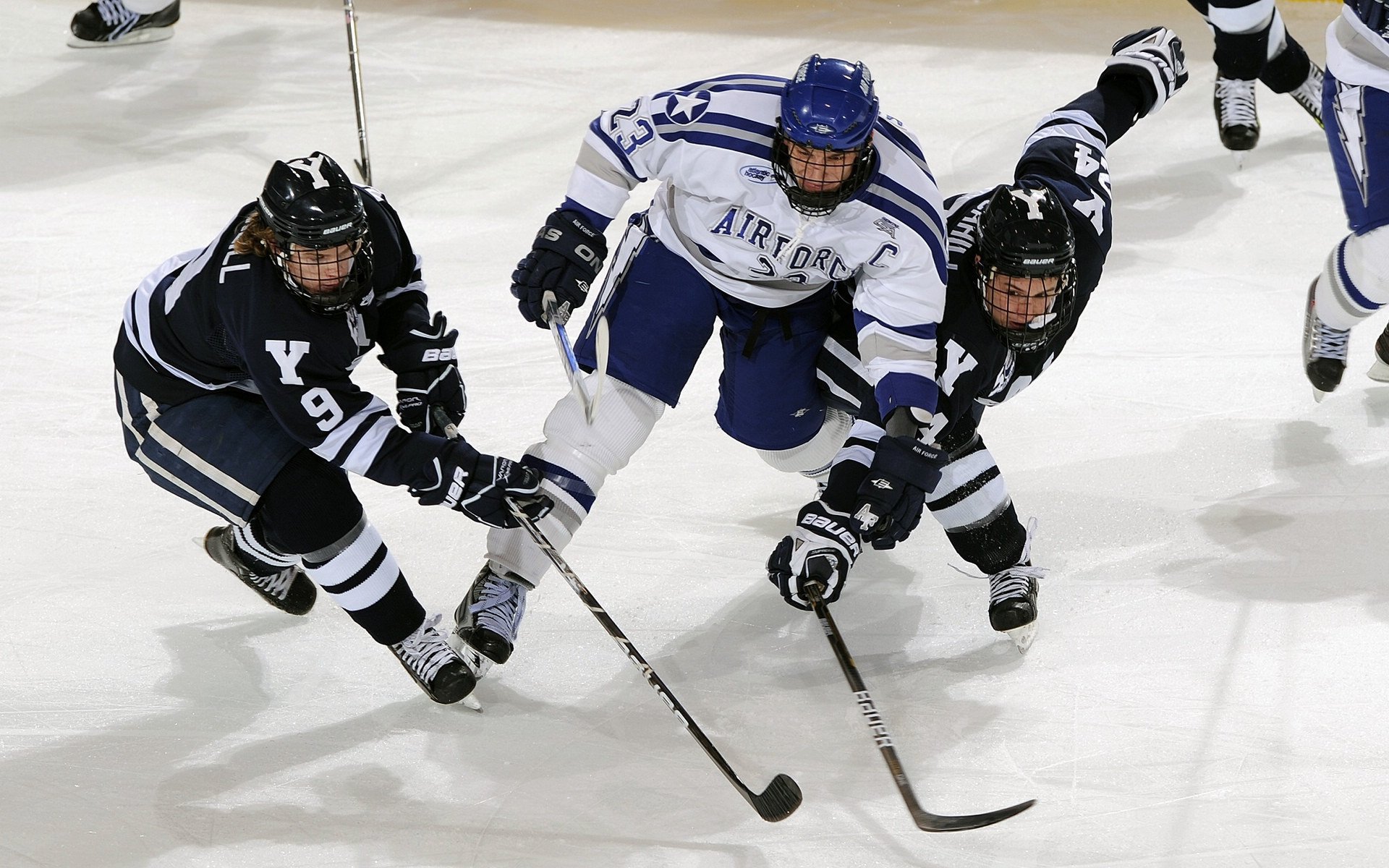 “荒野之战：沙丘与泥泞中的极限追逐”，荒野沙漠